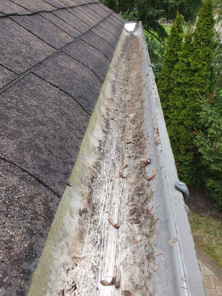 gutter cleaners near me