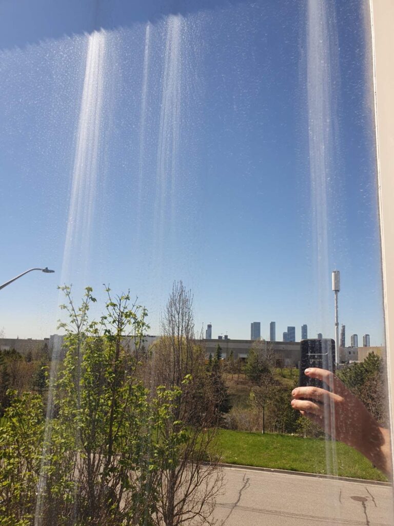 Window clean services