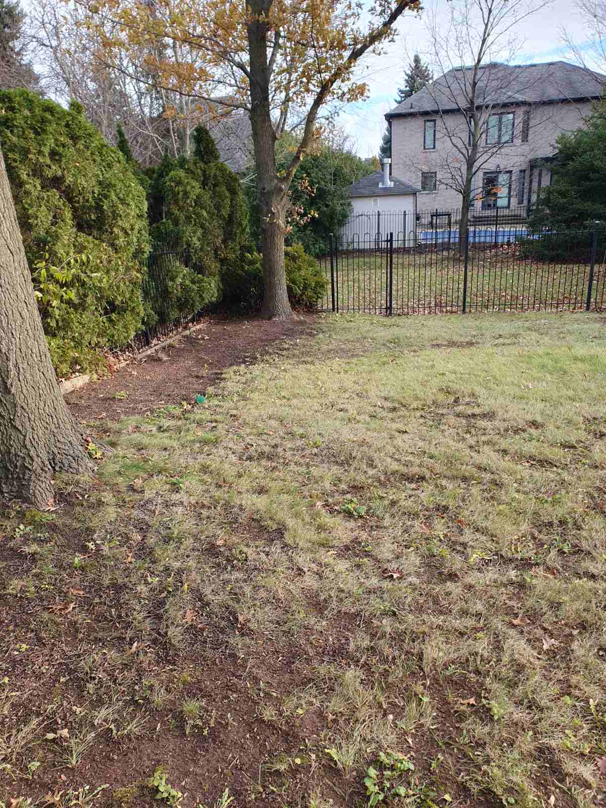 yard clean up in Mississauga