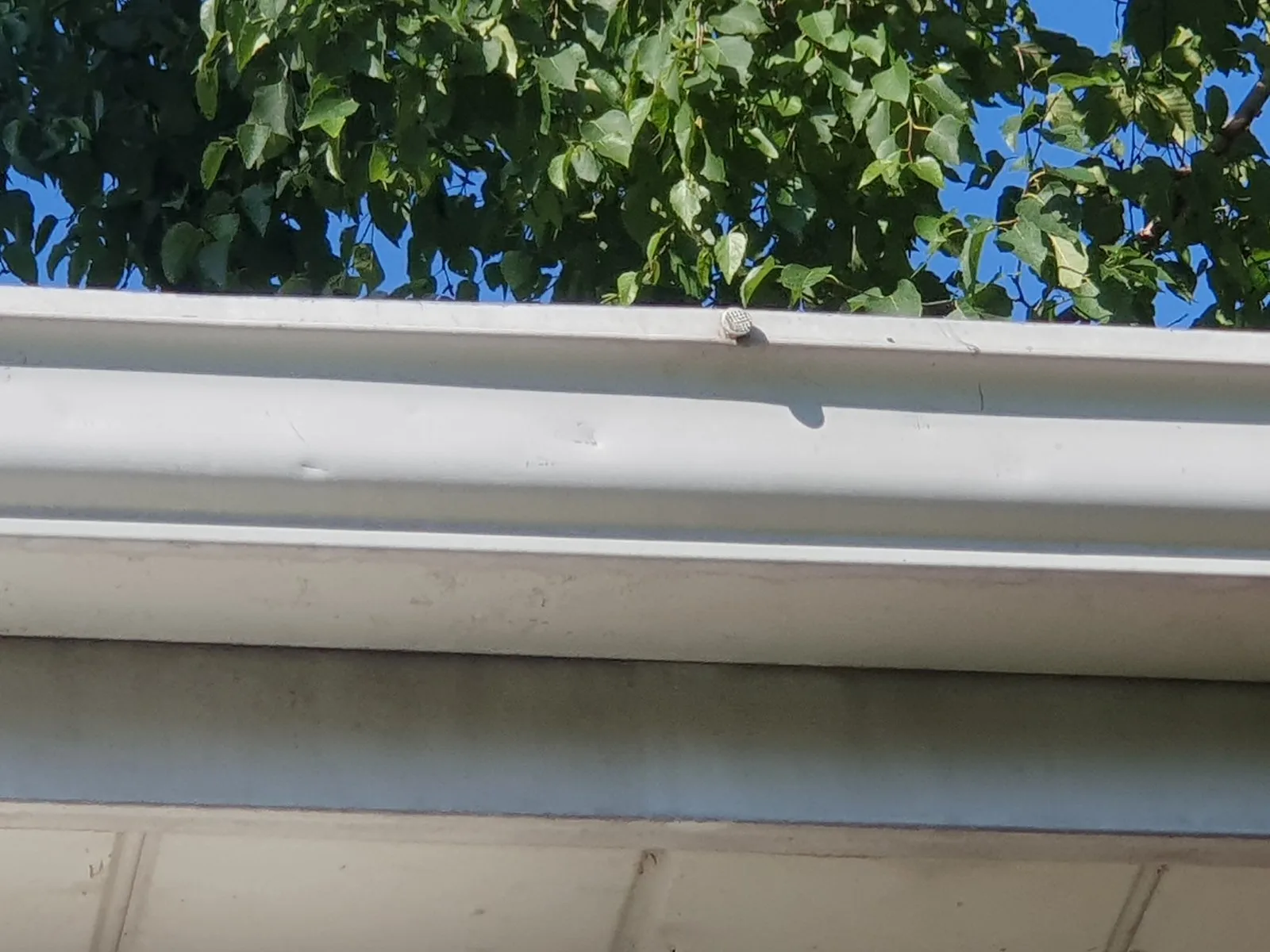 Handyman near me Toronto