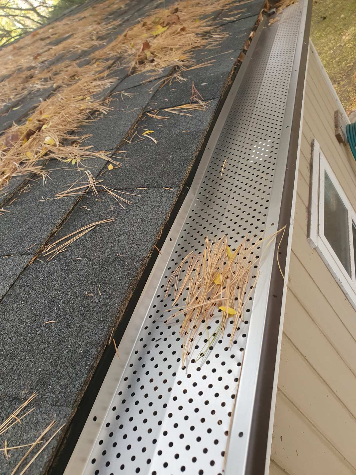 gutter protection near me