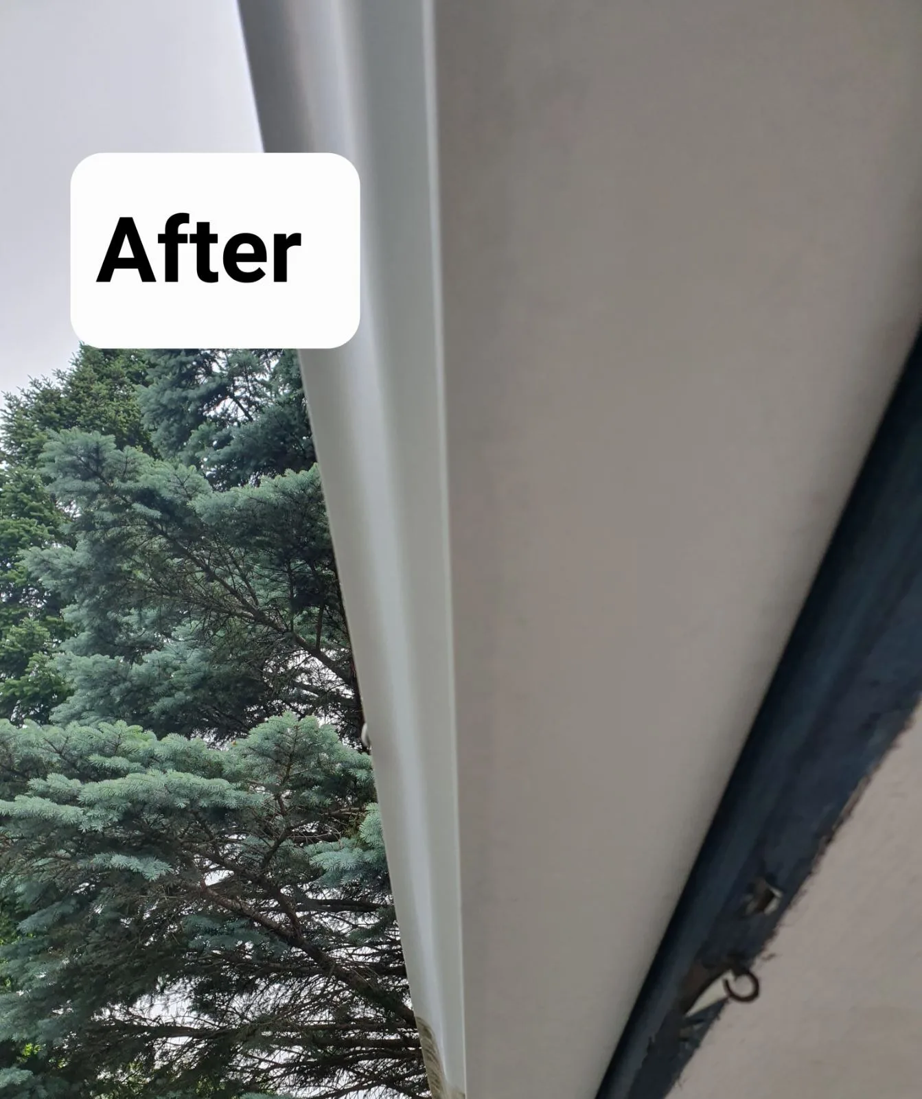 eaves cleaning toronto