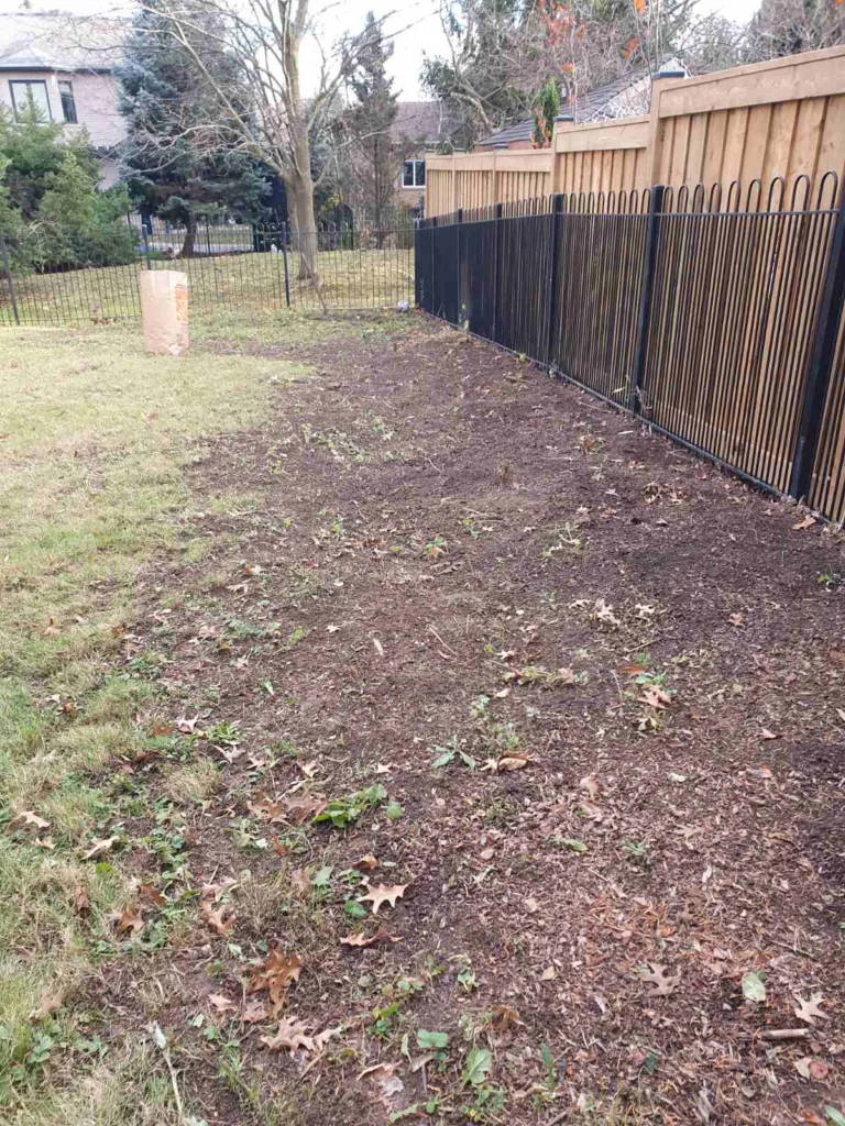 yard cleanup near me