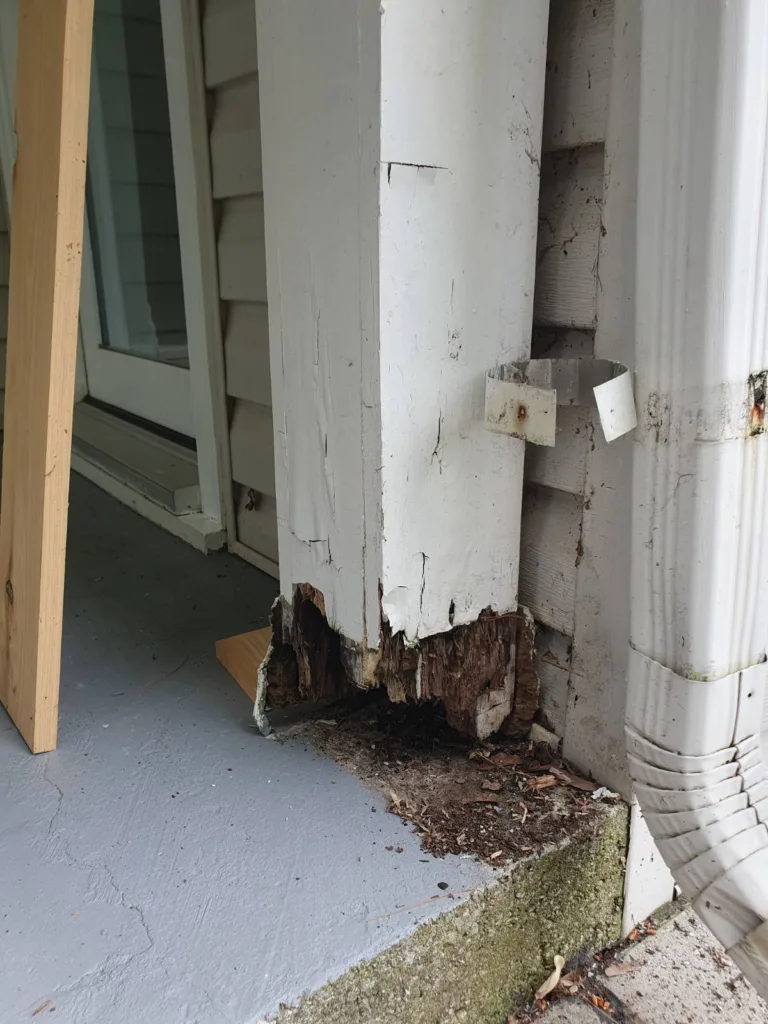 Handyman Service in Brampton