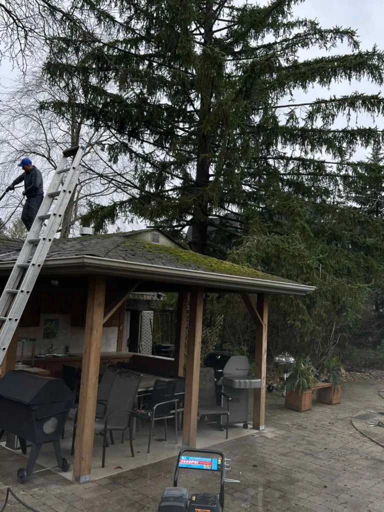 Cleaning the roof from the outside