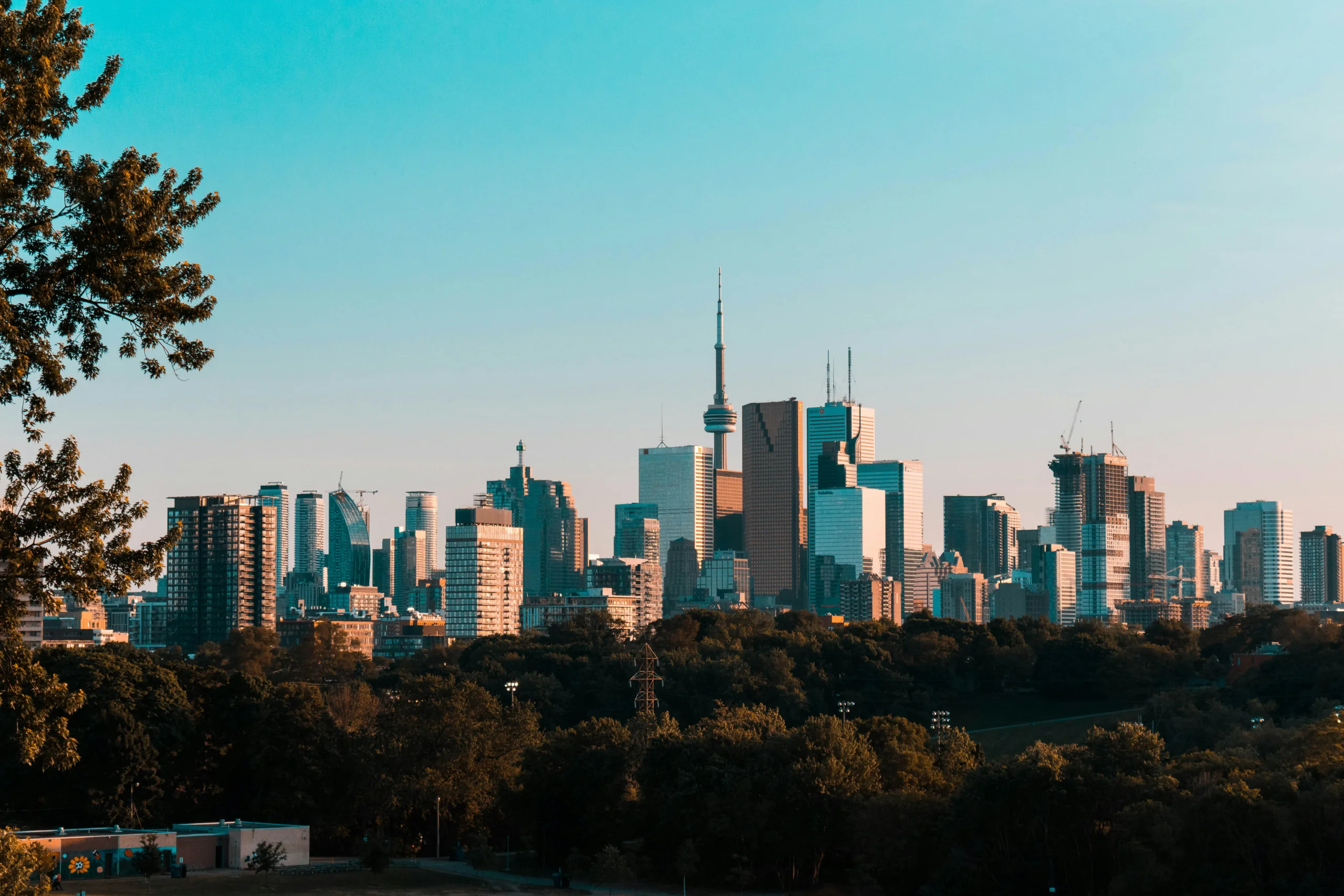 Lawn Mowing and Yard Clean-Up services  in Toronto