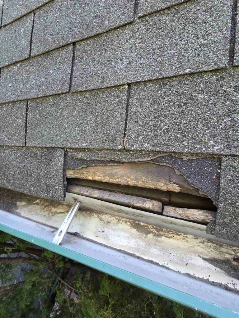 Roof Repair