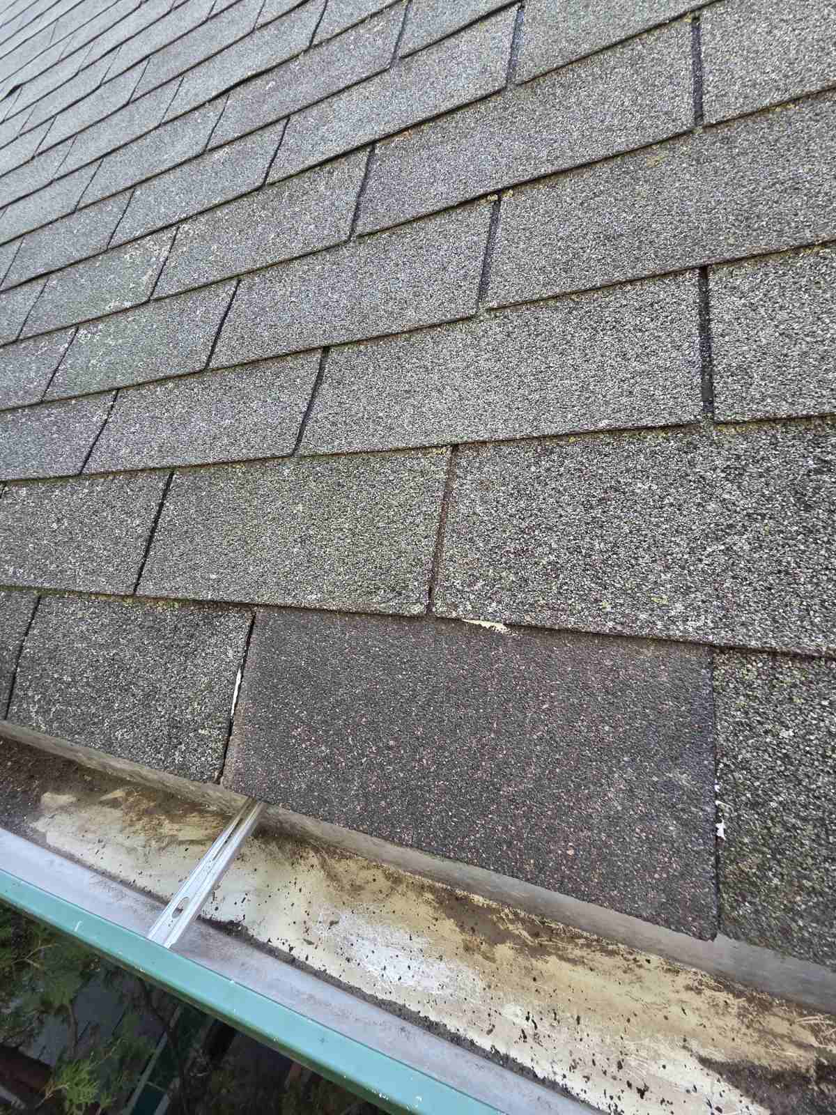 Roof Repair