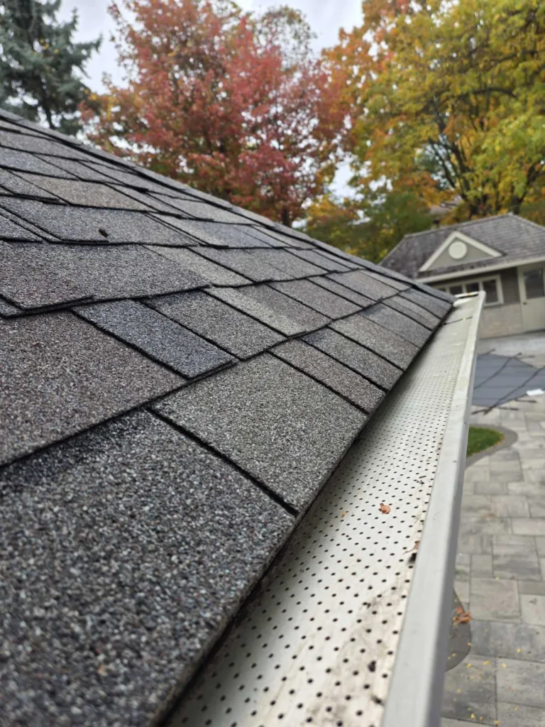 Clean gutter